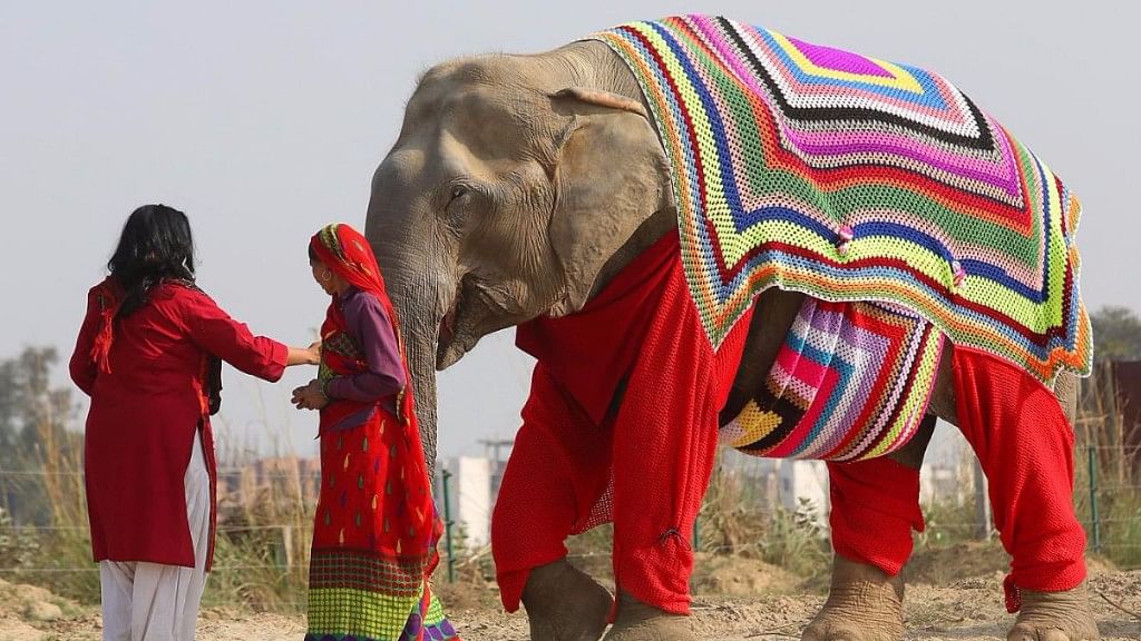 गांव की महिलाओं ने मिलकर बनाए हैं हाथियों के ये पाजामे (फोटो: INDEPENDENT)