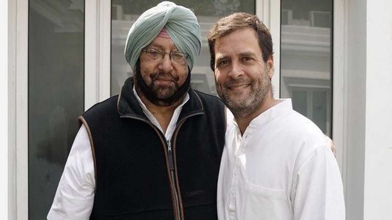कैप्टन अमरिंदर सिंह और कांग्रेस उपाध्यक्ष राहुल गांधी. (फोटो: ANI)