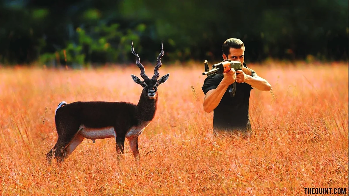 काला हिरण शिकार मामले में एक्‍टर सलमान खान आरोपी हैं.