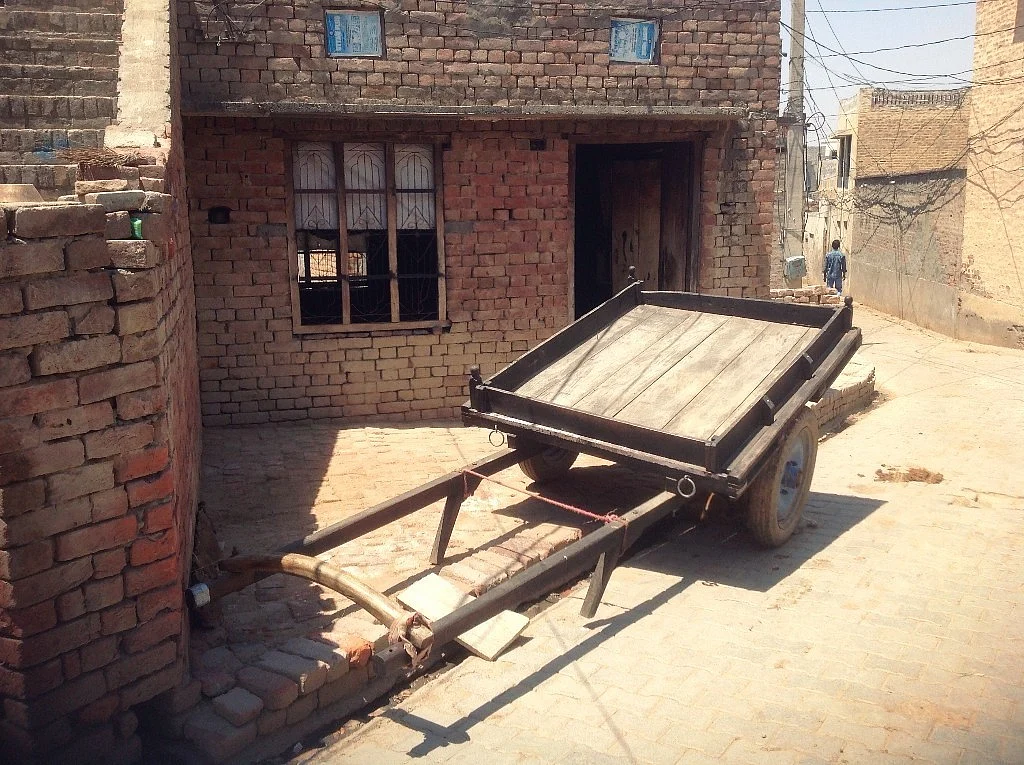 हरियाणा के राखीगढ़ी में सिंधु घाटी सभ्यता के सबसे बड़े स्थलों में से एक का वर्तमान सीन