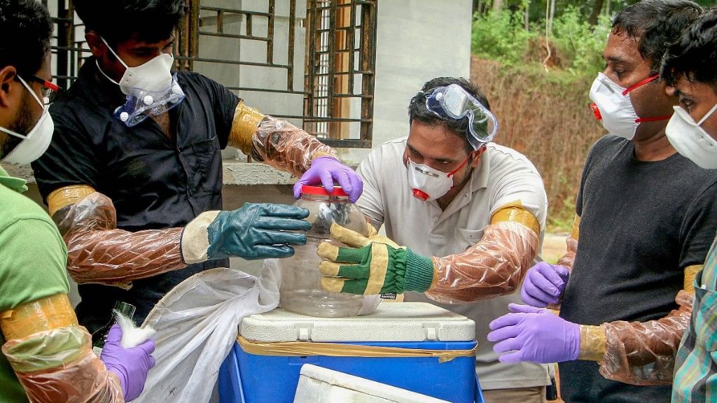 निपाह वायरस संबंधी जांच के लिए चमगादड़ को पकड़ कर ले जाते पशुपालन और वन विभाग के अधिकारी