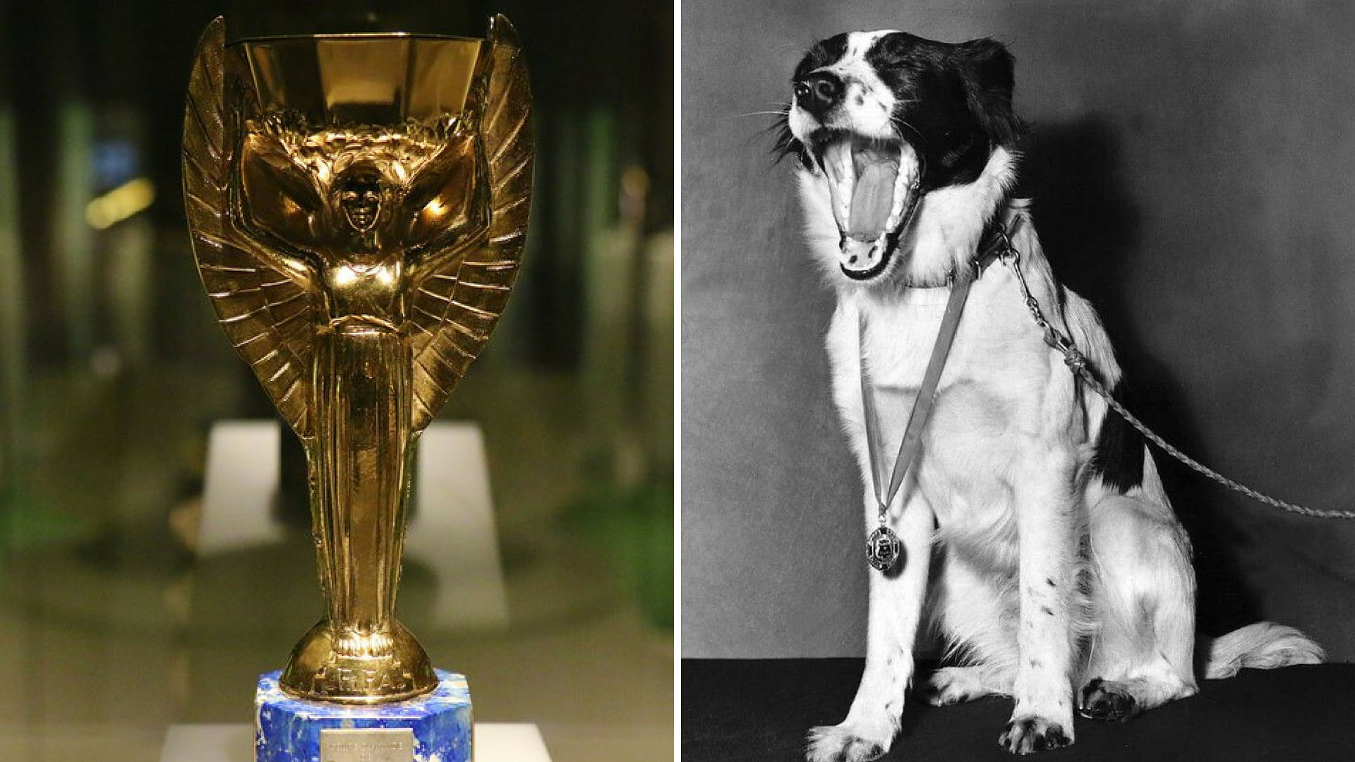 1966 वर्ल्ड कप की ट्रॉफी और पिकल्स नाम का कुत्ता