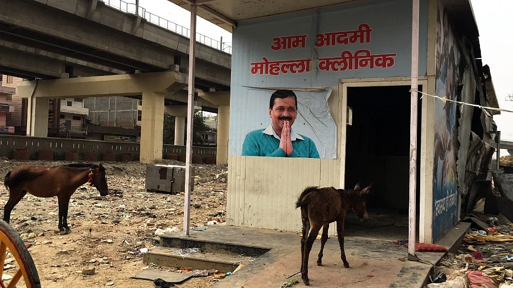 बाबरपुर के मोहल्ला क्लीनिक में घोड़े-गधों का कब्जा है.