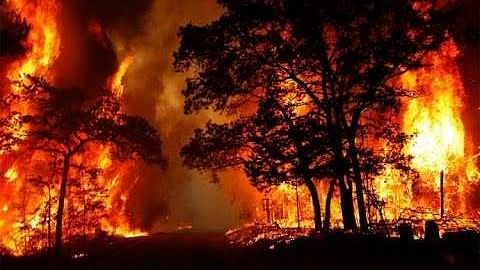 स्थानीय लोगों का मानना है कि ये आग प्राकृतिक नहीं बल्कि लोगों की लापरवाही का नतीजा है. 