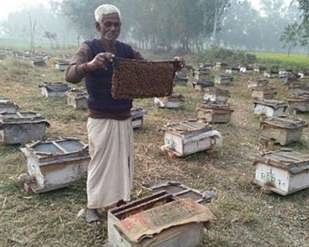 हिमाचल में फलों के उत्पादन बढ़ाने मधुमक्खी पालन पर जोर