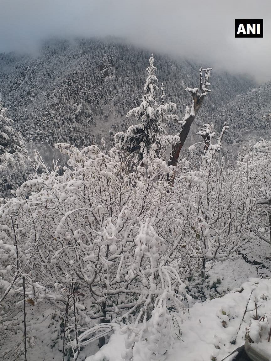 हिमाचल में सीजन की पहली बर्फबारी हुई है, यहां आए सैलानियों के लिए यह किसी तोहफे से कम नहीं है.