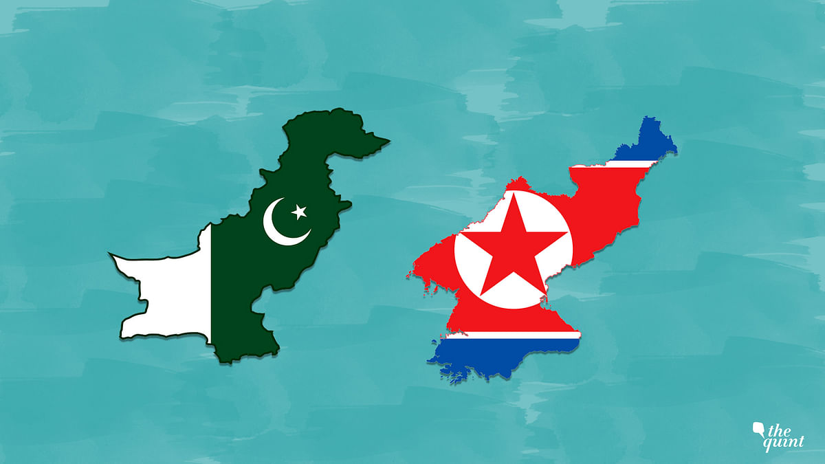 पाकिस्तान और नॉर्थ कोरिया काफी हद तक एक जैसे हैं
