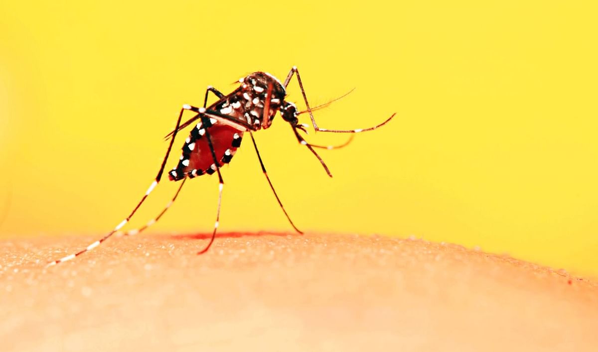 भारत ने 2027 तक मलेरिया मुक्त होने और 2030 तक मलेरिया के जड़ से खात्मे का लक्ष्य रखा है.