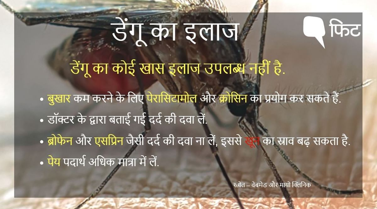 डेंगू की रोकथाम के लिए इन बातों पर दें ध्यान.