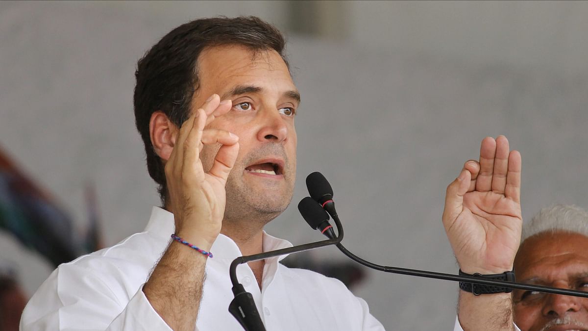 दुख है मेरे अलावा किसी भी नेता ने नहीं ली हार की जिम्मेदारीः राहुल