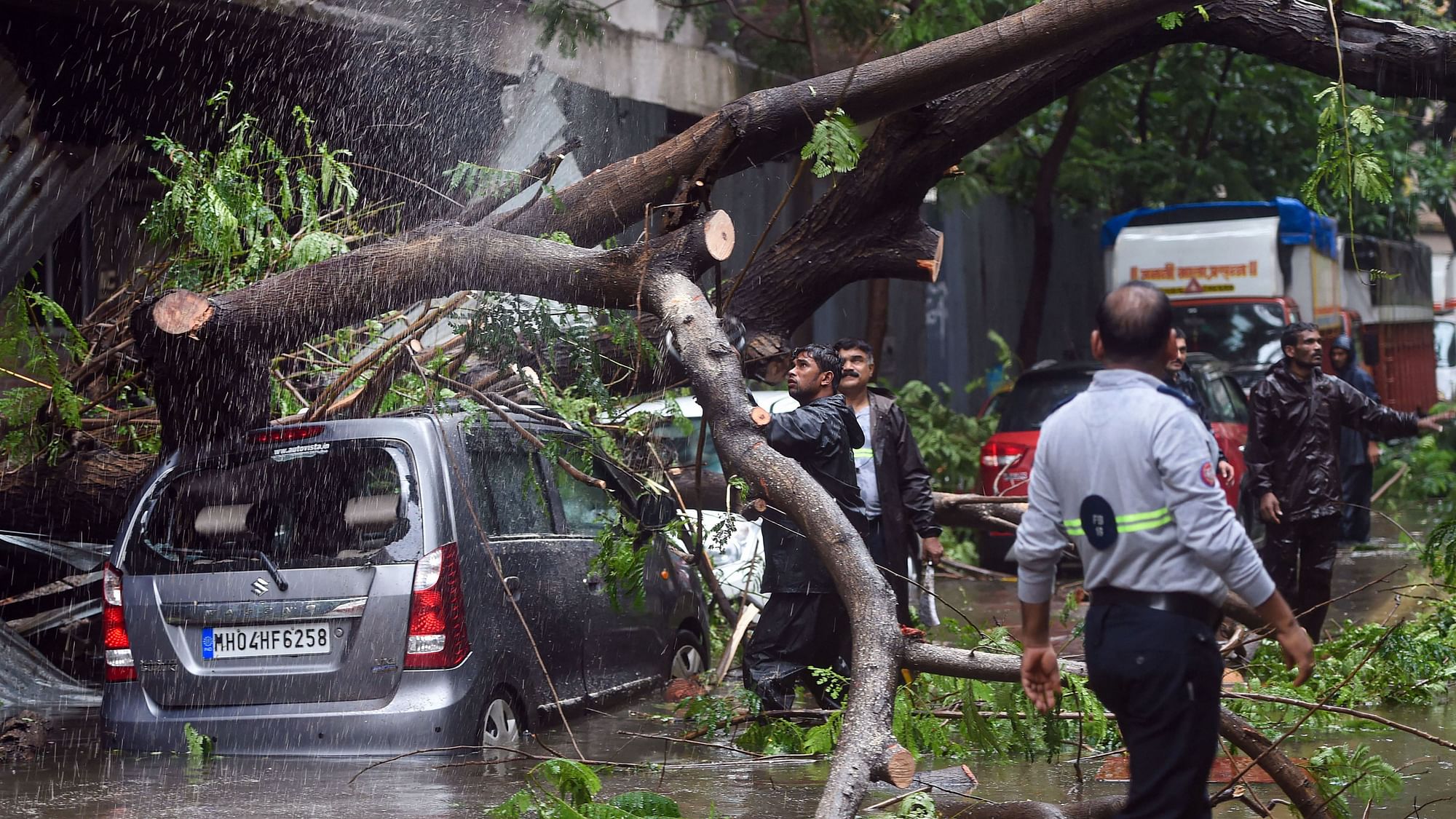 मुंबई के घाटकोपर में भारी मॉनसूनी बारिश की वजह से गिरे पेड़ को काटते अधिकारी