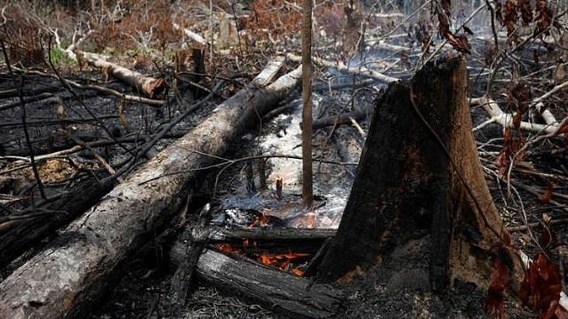 दुनिया को कुल ऑक्सीजन का 20 फीसदी देने वाले अमेजन के जंगलों में पिछले कई दिनों से लगी भयानक आग ने खलबली मचा दी है. 