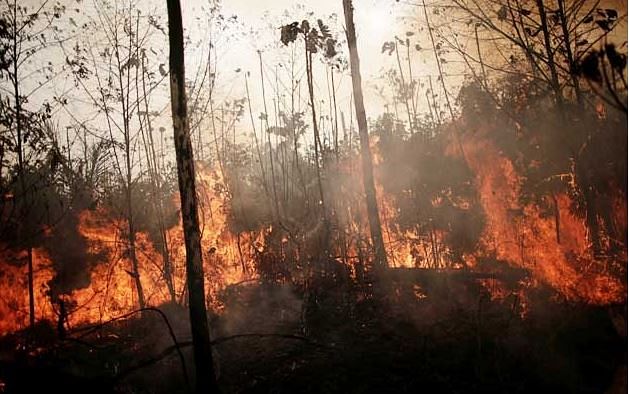 दुनिया को कुल ऑक्सीजन का 20 फीसदी देने वाले अमेजन के जंगलों में पिछले कई दिनों से लगी भयानक आग ने खलबली मचा दी है. 