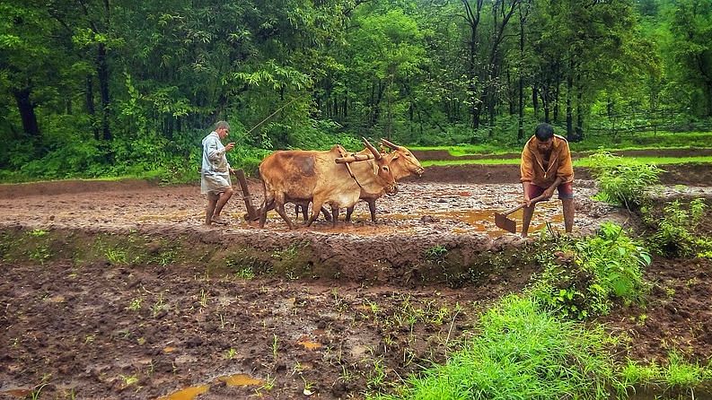 Maharashtra: सरकार पर दबाव बनाने के लिए अगस्त से चार महीने तक किसानों का आंदोलन
