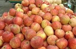तिब्बत के श्याओचिन से थाईलैंड निर्यात होंगे सेब