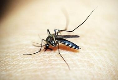 फिरोजाबाद में डेंगू और वायरल बुखार से कई मौत,सीएमओ की छुट्टी