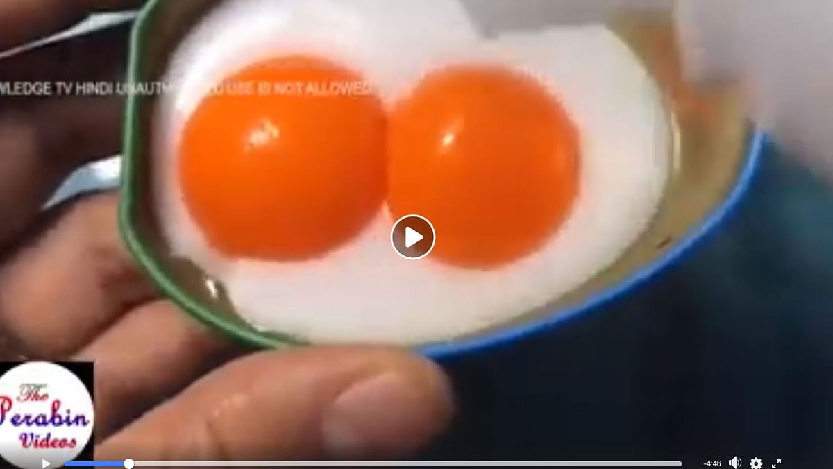 क्या भारत में मिल रहे हैं नकली अंडे? जानिए प्लास्टिक के अंडे तैयार करने का सच
