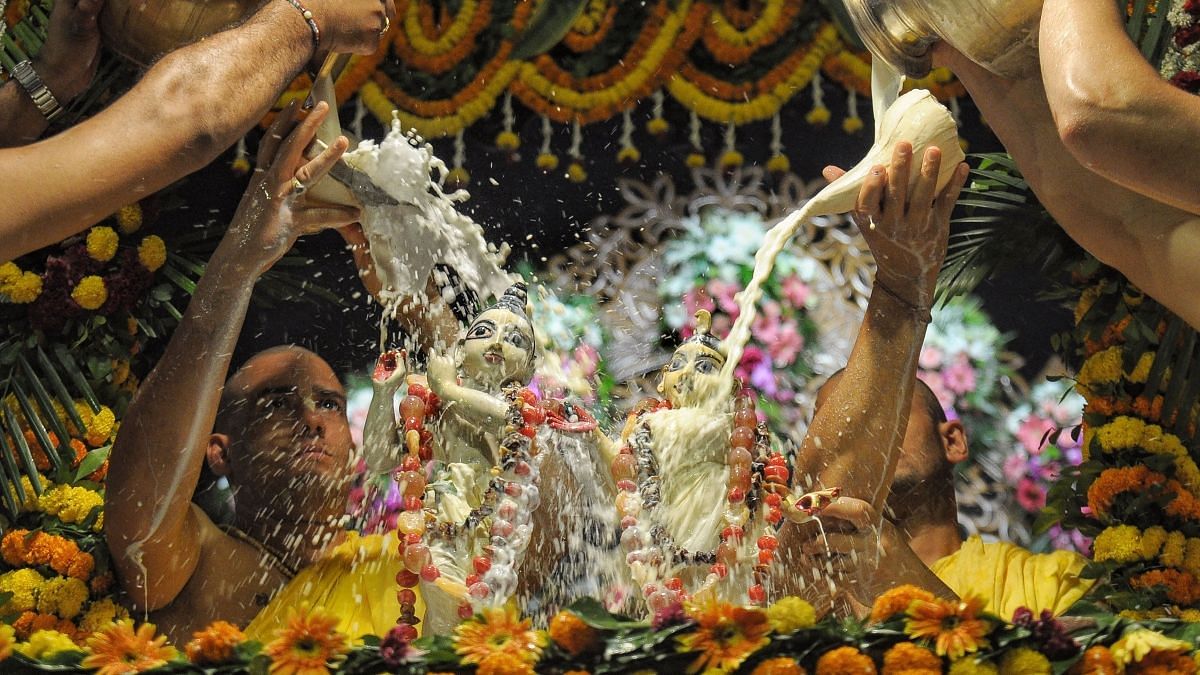 कोलकाता के मायापुर में इस्कॉन मंदिर में राधाष्टमी पर राधा कृष्ण की मूर्ति पर दूध चढ़ाते हुए भक्त (6 सितंबर)