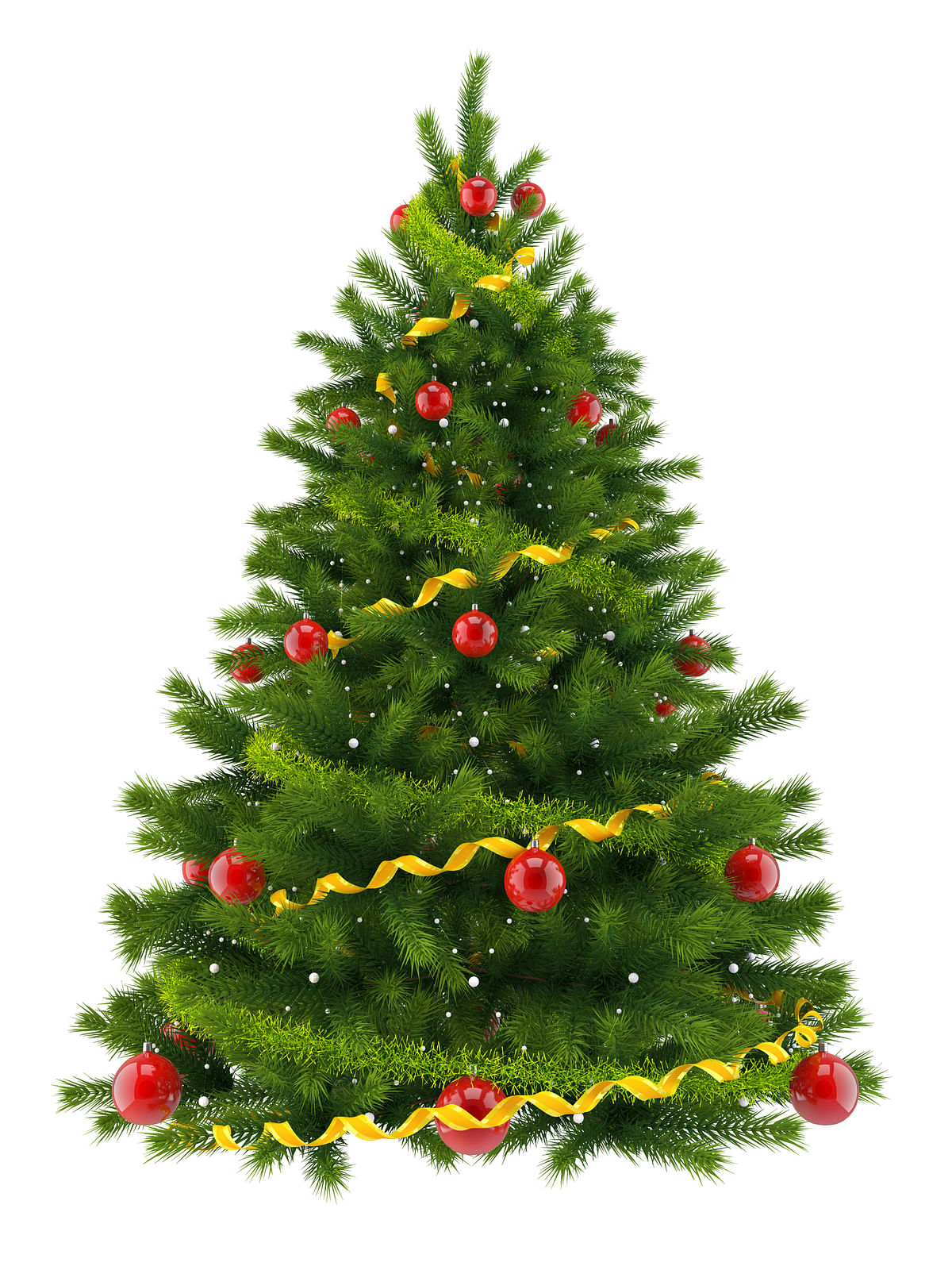 क्रिसमस पर लोग घर को सजाने, पार्टी की तैयारियां और अन्य कामों के अलावा क्रिसमस ट्री को भी सजाते हैं.