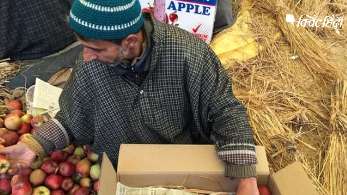 कश्मीरी सेब किसानों पर आफत की तरह गिरी बर्फ, NAFED से भी मदद नहीं