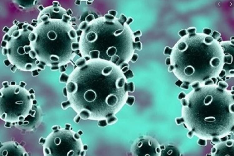 कोरोना वायरस: आंध्र में संक्रमण के 21 नए मामले