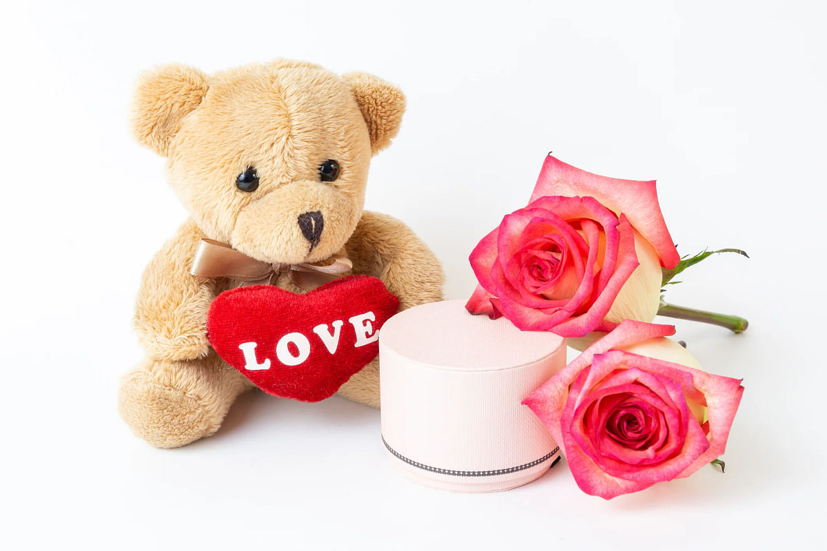 Happy Teddy Day 2020 Wishes in Hindi: Images, Quotes, Shayari ...