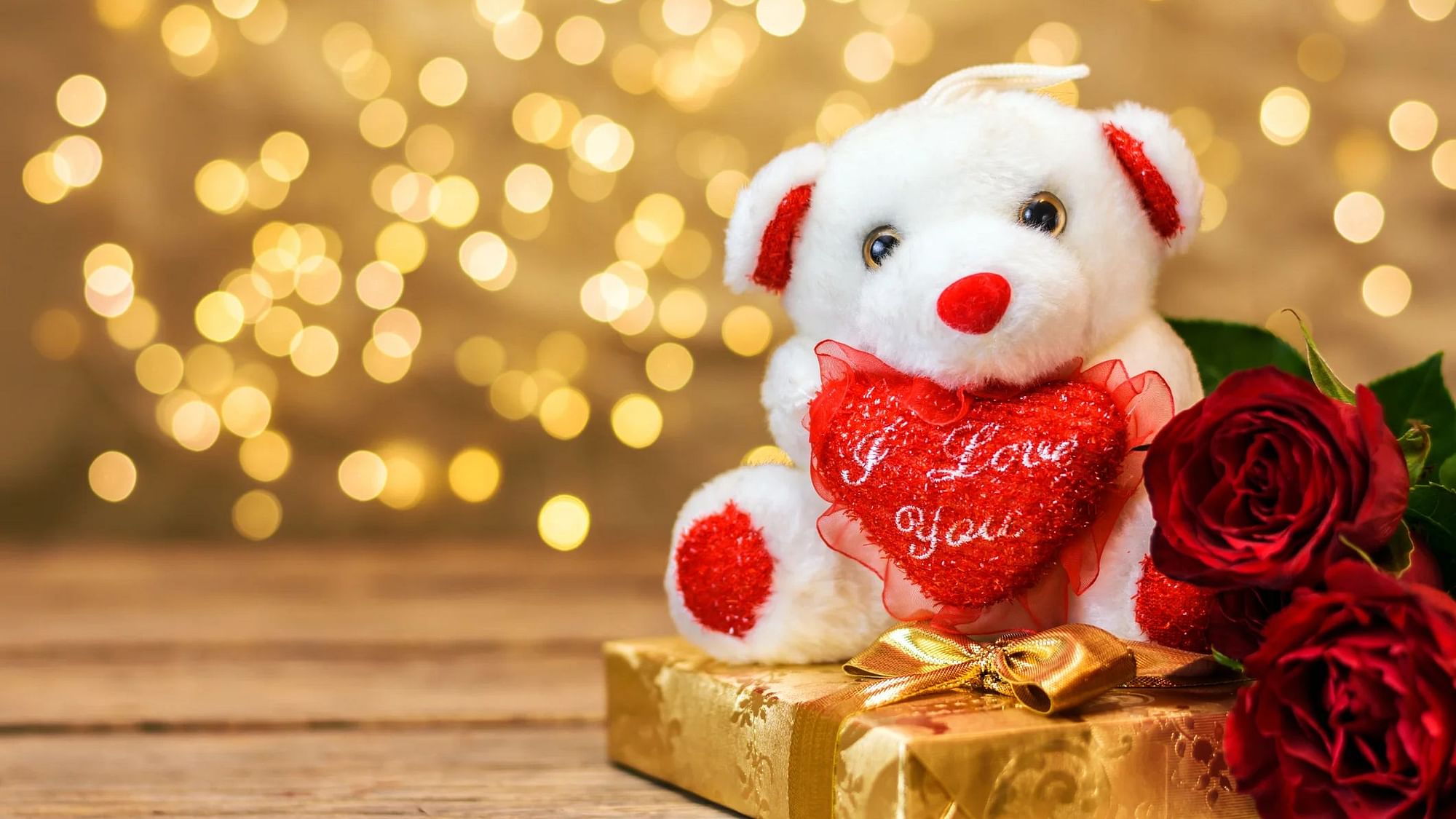 <div class="paragraphs"><p>Teddy Day 2024</p></div>