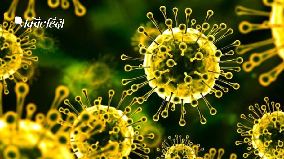 बिहार में कोरोना वायरस संक्रमण के मामले बढ़कर 23 हुए