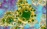 केरल में कोरोनावायरस संक्रमण के दो नए मामलों की पुष्टि हुई