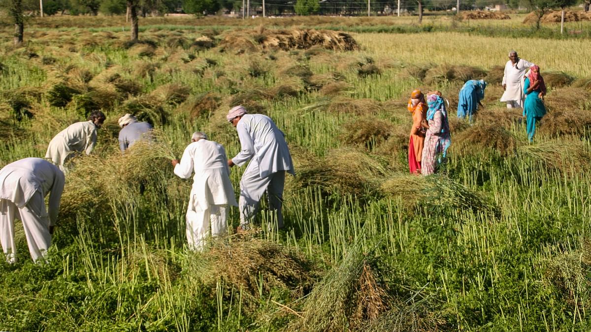 किसानों की मदद के लिए कर्नाटक सरकार नहीं उठा रही कोई कदम: कांग्रेस