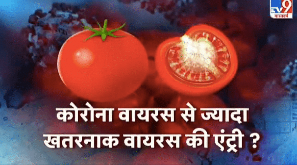 TV9 Bharatvarsh चैनल ने अपनी रिपोर्ट में कहा कि इस वायरस को महाराष्ट्र के किसानों ने रिपोर्ट किया है