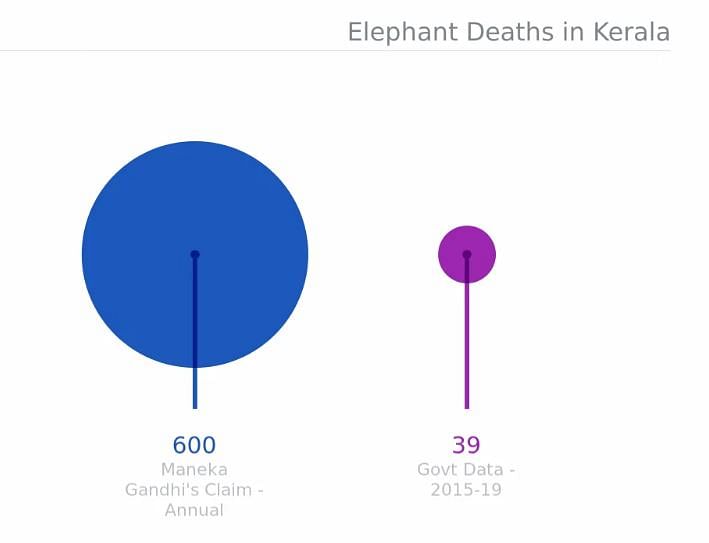 केरल में प्रेगनेंट हथनी की मौत से सोशल मीडिया में गुस्सा