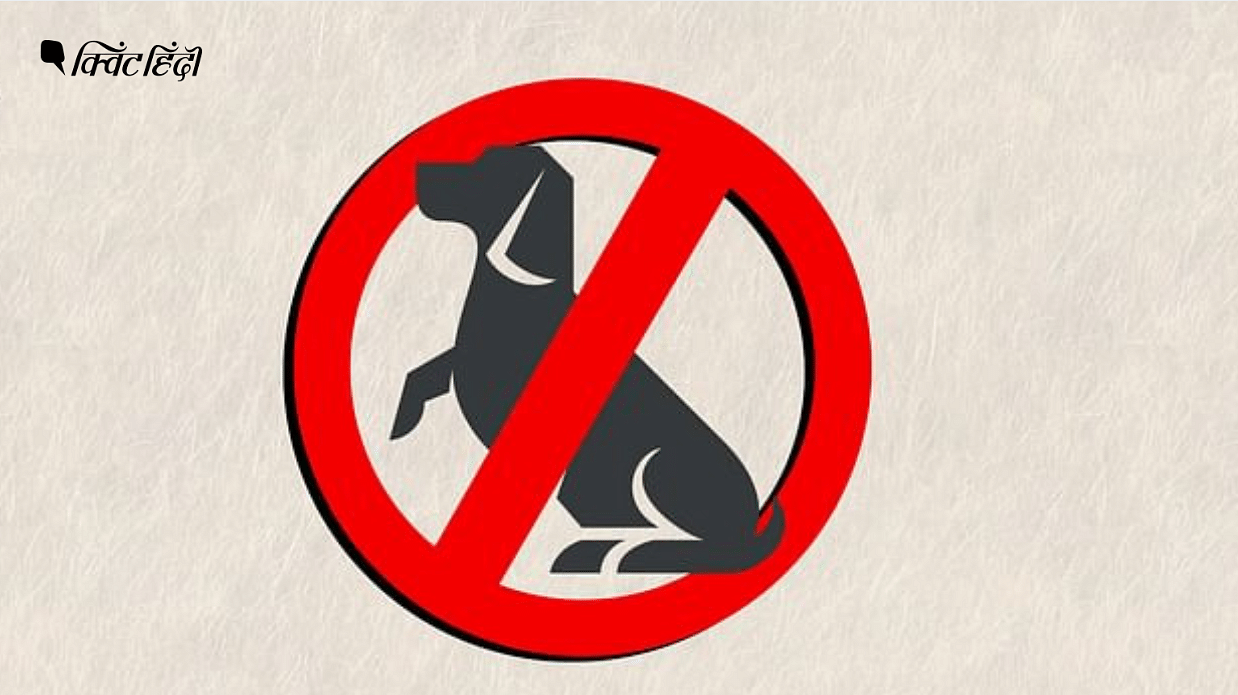 कुत्ते के मीट पर प्रतिबंध लागू कैसे होगा?