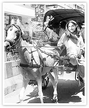  महाशय धर्मपाल: 5वीं तक पढ़ाई,तांगा चलाया,फिर बने मसालों के बादशाह