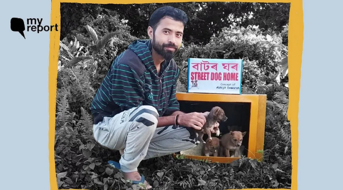 असम में टीवी सेट से बनाया आवारा जानवरों के लिए घर 