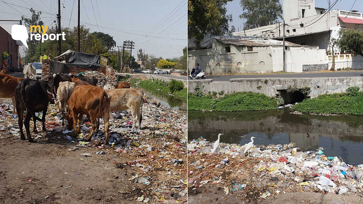 मेरठ: गंदे नाले से लोगों को मलेरिया और डेंगू का खतरा