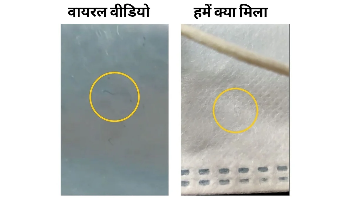 क्या मास्क में छिपे होते हैं कीड़े?- भ्रामक दावे की पूरी पड़ताल