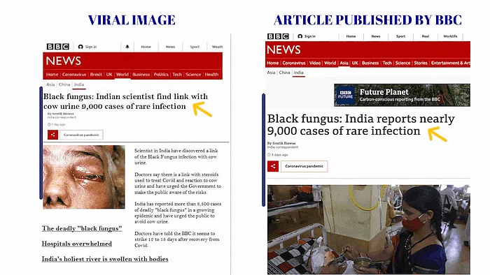 <div class="paragraphs"><p>(बाएं: वायरल स्क्रीनशॉट. दाएं: BBC का आर्टिकल)</p></div>