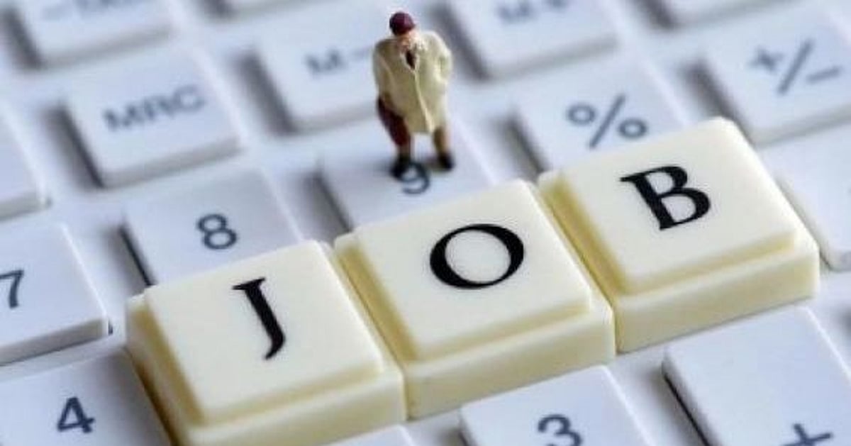 JKSSB ने निकाली 500 से ज्यादा वैकेंसी, इस लिंक से करें चेक