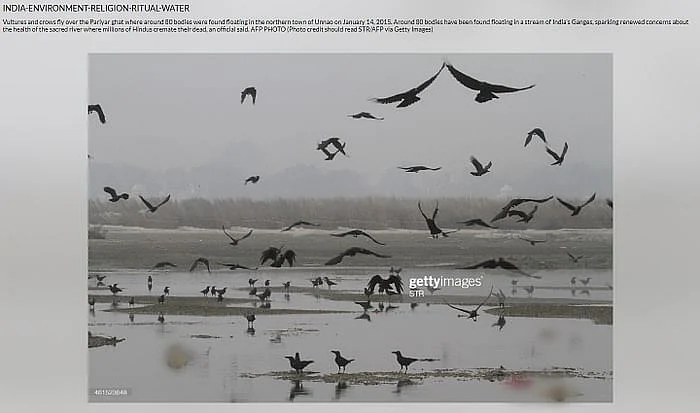 <div class="paragraphs"><p>पोस्ट का आर्काइव देखने के लिए <a href="https://www.gettyimages.in/detail/news-photo/vultures-and-crows-fly-over-the-pariyar-ghat-where-around-news-photo/461523648">यहां</a> क्लिक करें</p></div>