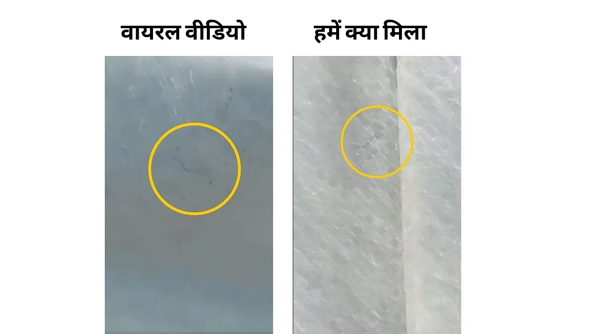 क्या मास्क में छिपे होते हैं कीड़े?- भ्रामक दावे की पूरी पड़ताल