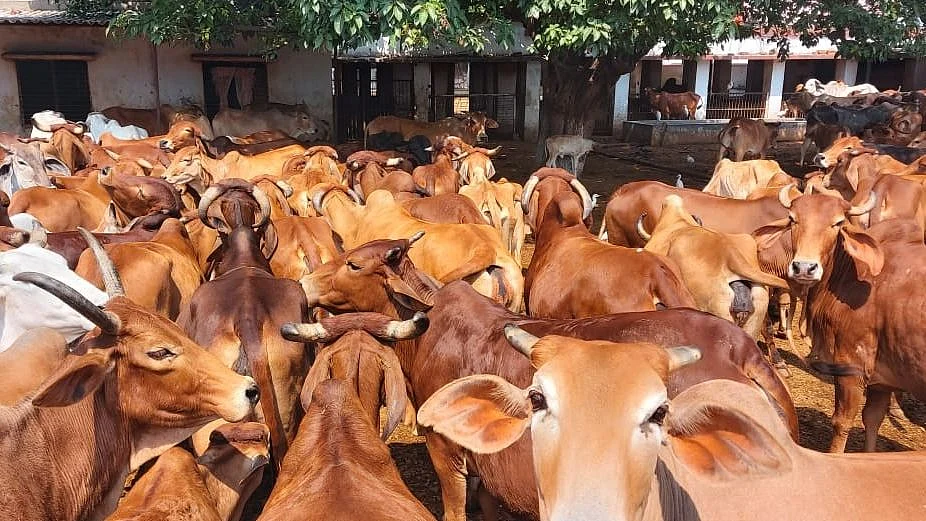 सांकेतिक तस्वीर