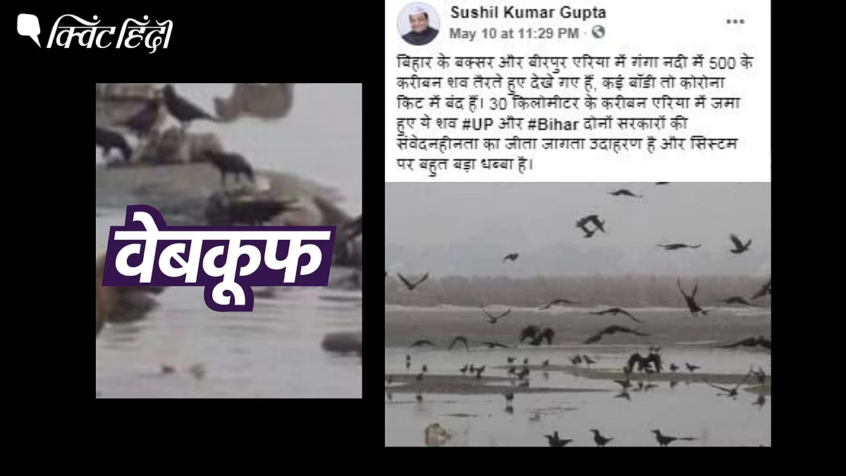 <div class="paragraphs"><p>पड़ताल में हमने पाया कि ये हाल की नहीं,&nbsp; 2015 की हैं.</p></div>