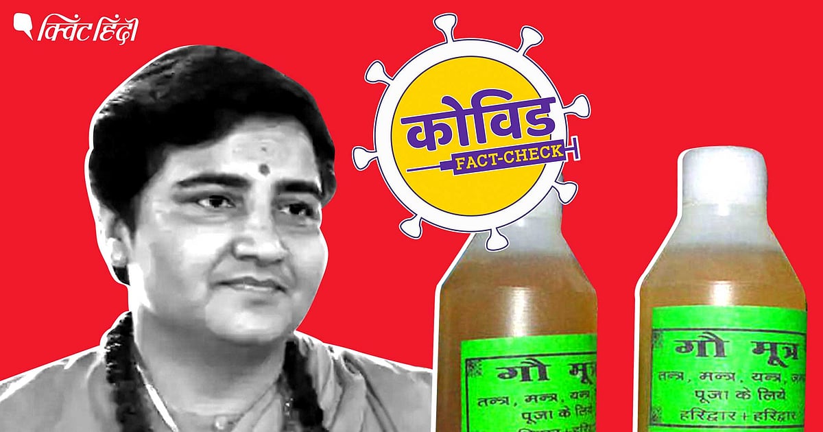 गोबर-गोमूत्र नहीं है कोरोना का इलाज, नेताओं के दावों का ये है सच