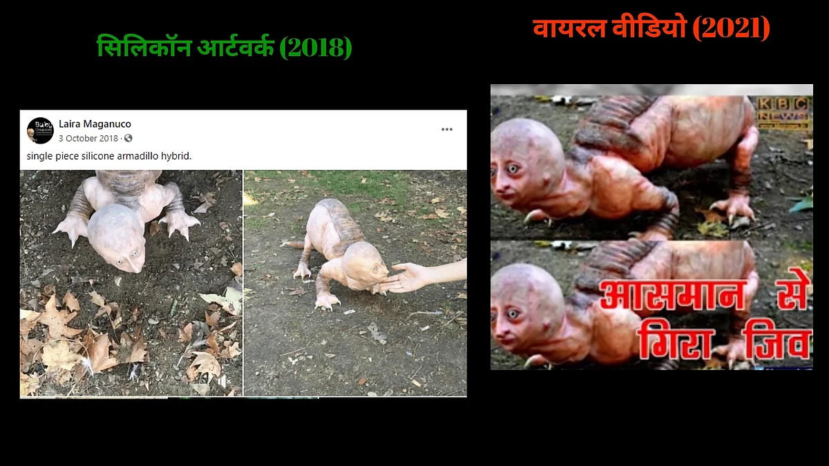 आसमान से गिरे खतरनाक जीव की नहीं, आर्टवर्क की है ये वायरल फोटो