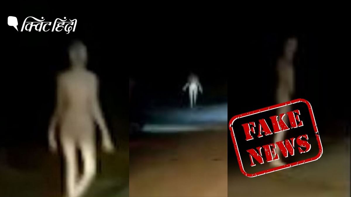 झारखंड के हजारीबाग में एलियन दिखने का दावा झूठा निकला
