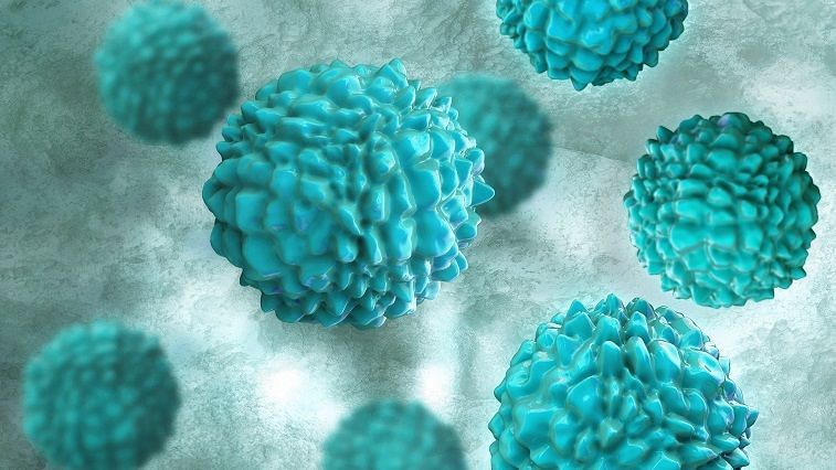 UK में बढ़े Norovirus केस: ये वायरस क्या है? क्या भारत के लिए चिंता की बात है?