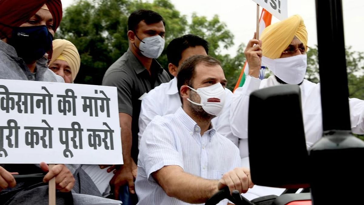 राहुल गांधी की आज विपक्षी नेताओं संग बैठक, समानांतर संसद सत्र चलाने की तैयारी?