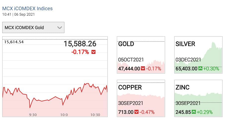 Gold Silver Price: चांदी वायदा 0.30 प्रतिशत बढ़कर 65,400 रुपये प्रति किलोग्राम के आसपास कारोबार कर रहा है.