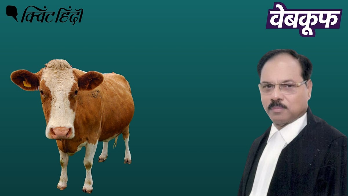 हम इंसान भी सांस छोड़ते वक्त ऑक्सीजन छोड़ते है, ये सिर्फ गाय की 'खासियत' नहीं